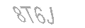 Güvenlik Kodu
